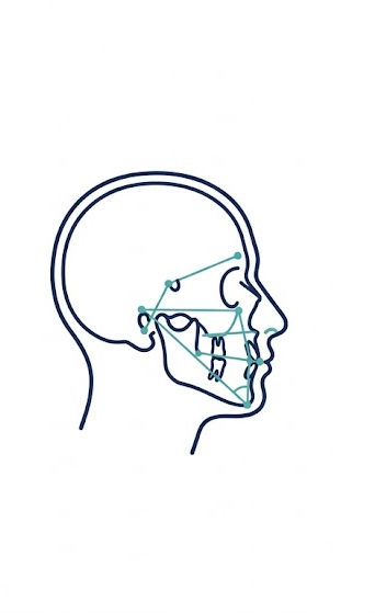 Cephalometric tracer icon